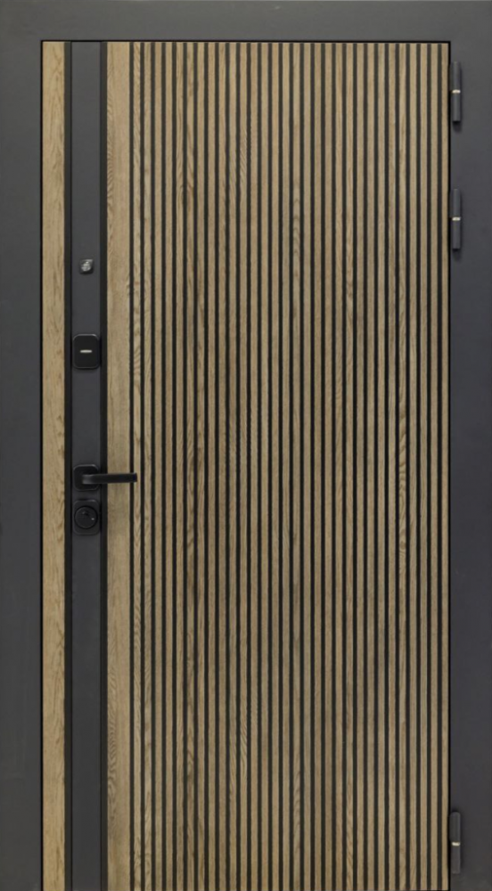 Входная дверь ДвериПРО Rosna ПВХ 10мм Астрод Velutto Grigio DPRO198166 внешняя сторона