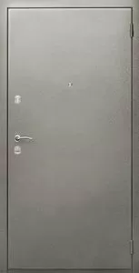 Дверь с порошковым напылением DZ142